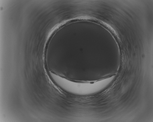 X0000086091327200704091317