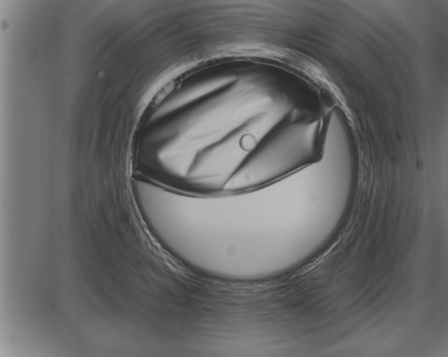 X0000086091328200704091317