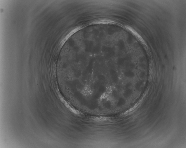 X0000086091329200704091317