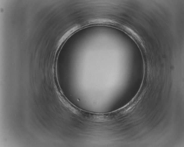 X0000086091330200704091317