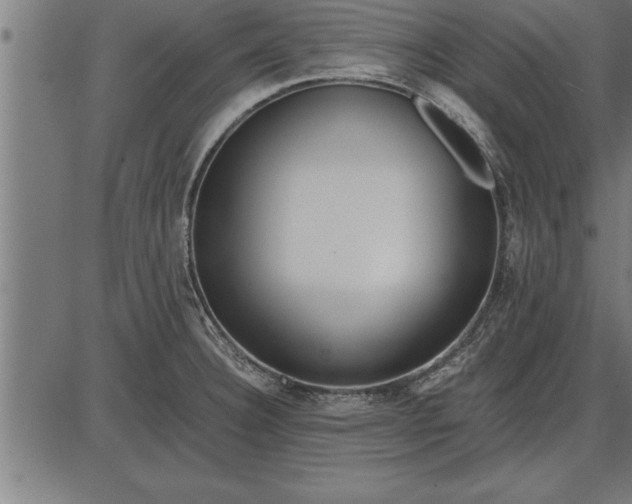 X0000086091332200704091317