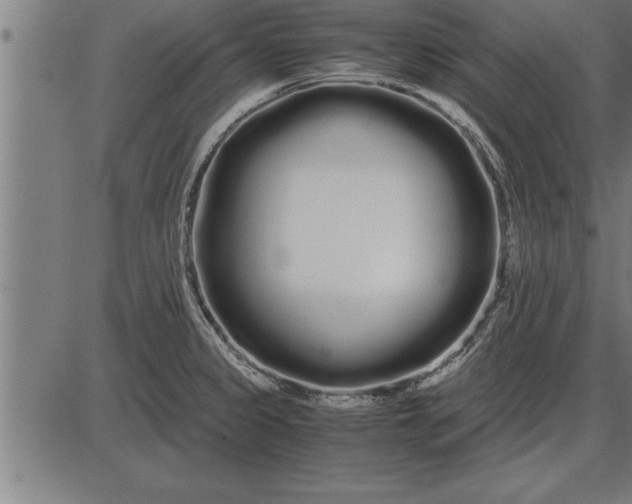 X0000086091333200704091317