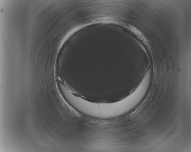 X0000086091334200704091317