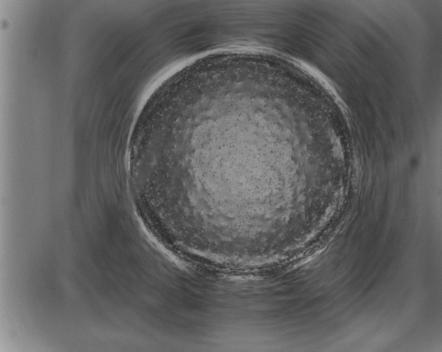 X0000086091335200704091317