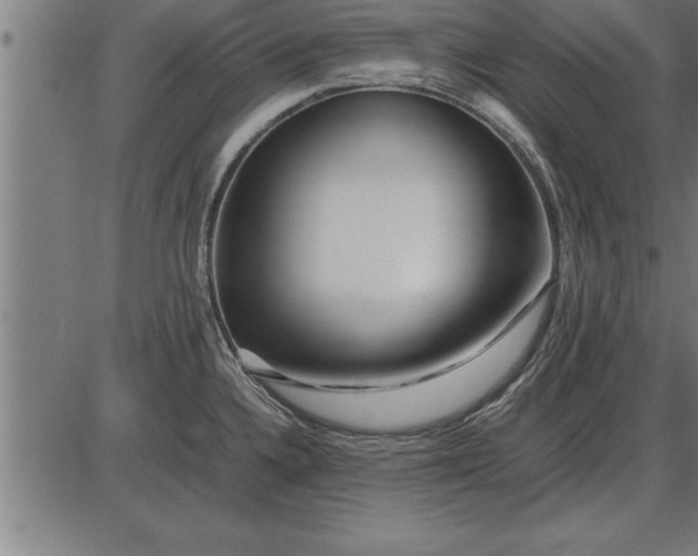 X0000086091336200704091317