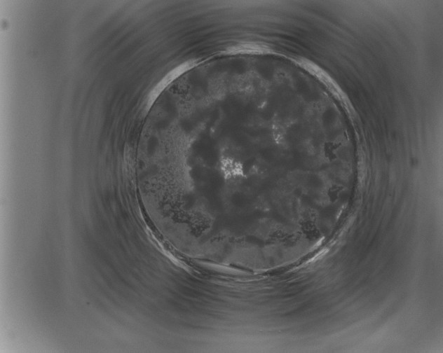 X0000086091337200704091317