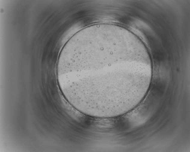 X0000086091338200704091317