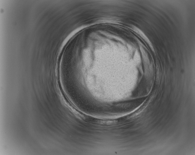 X0000086091339200704091317