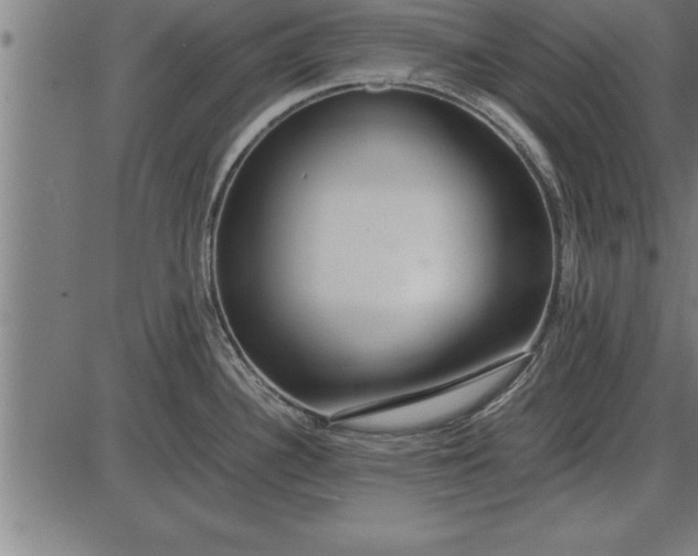 X0000086091340200704091317