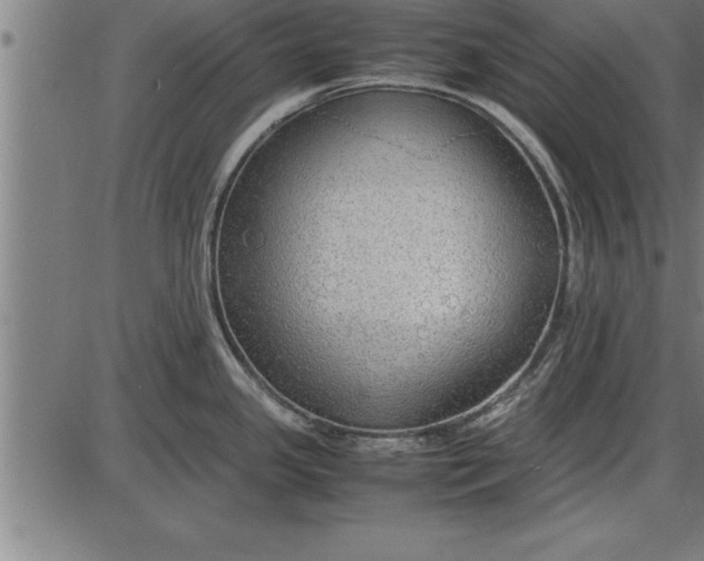 X0000086091341200704091317