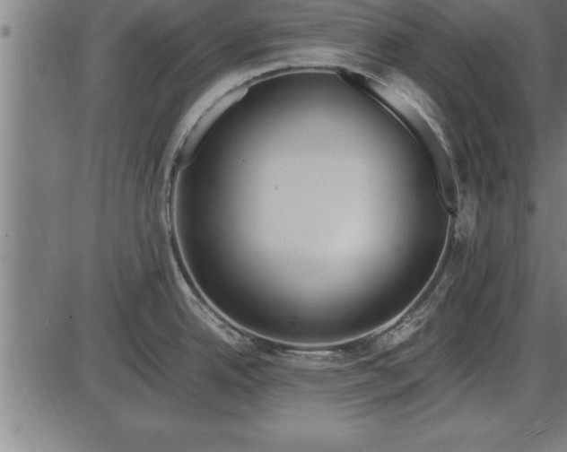 X0000086091342200704091317