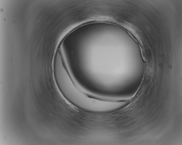 X0000086091343200704091317