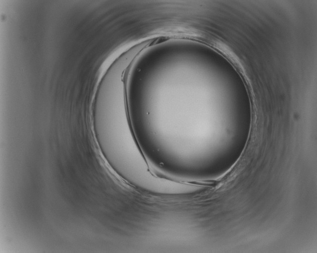 X0000086091344200704091317