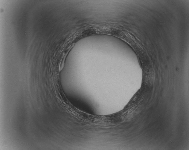 X0000086091345200704091316