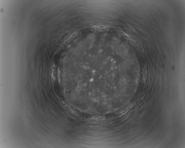 X0000086091346200704091316