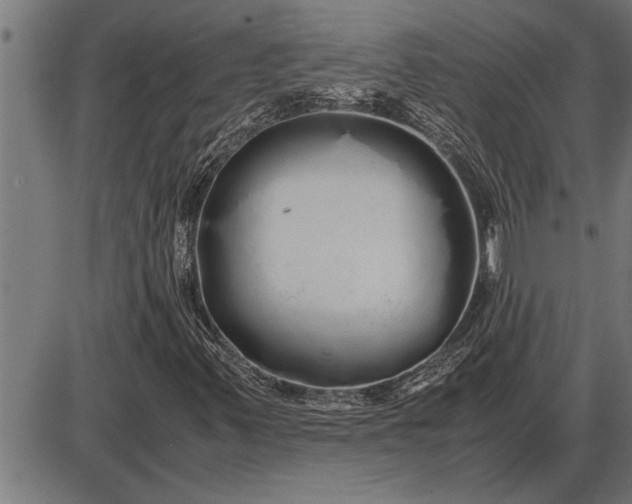 X0000086091347200704091316