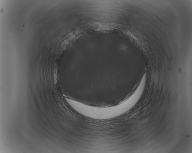 X0000086091348200704091316