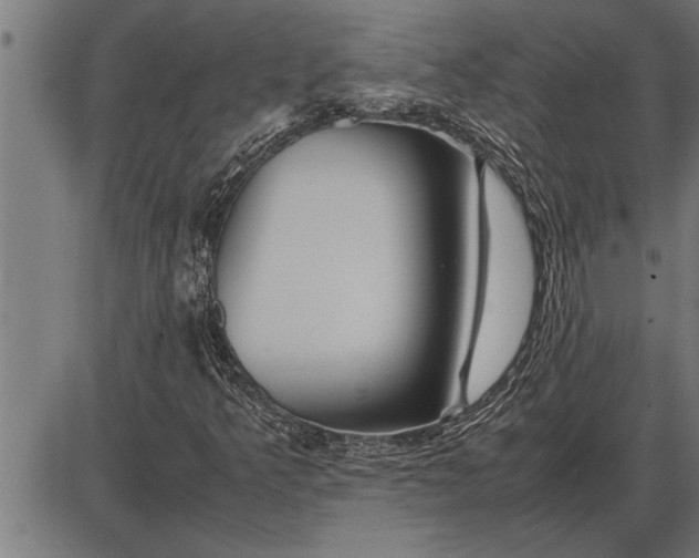 X0000086091349200704091316