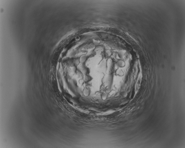 X0000086091351200704091316