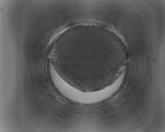 X0000086091352200704091316