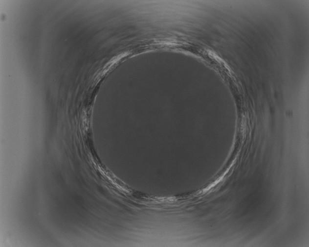 X0000086091353200704091316