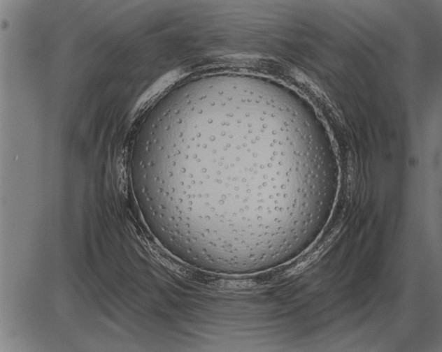 X0000086091354200704091316