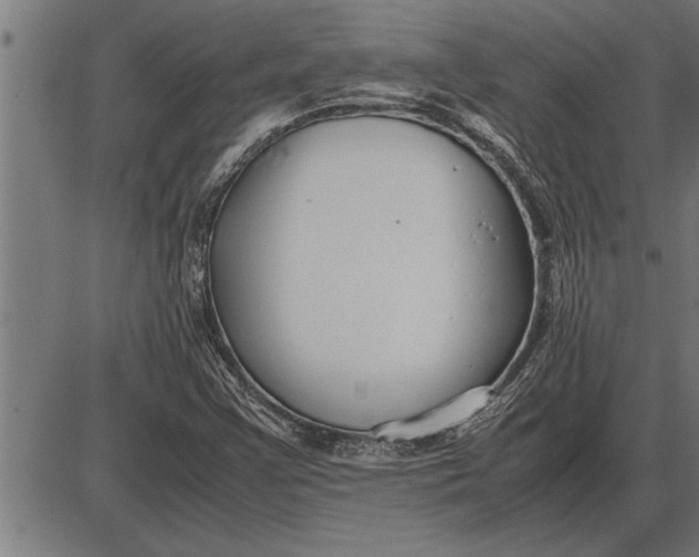 X0000086091355200704091316