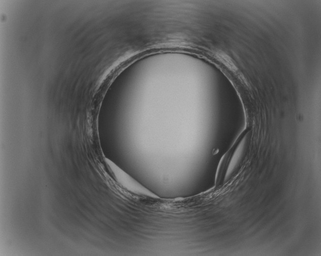 X0000086091356200704091316