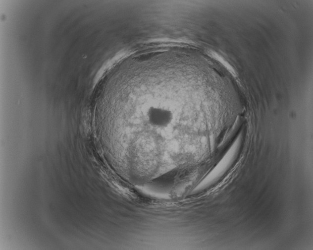 X0000086091357200704091316