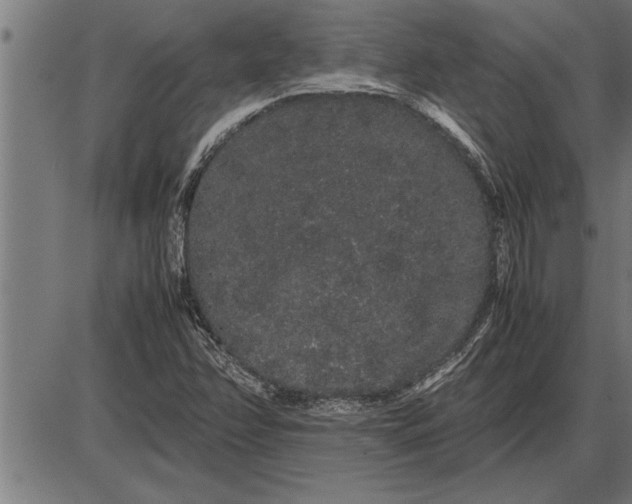 X0000086091358200704091316