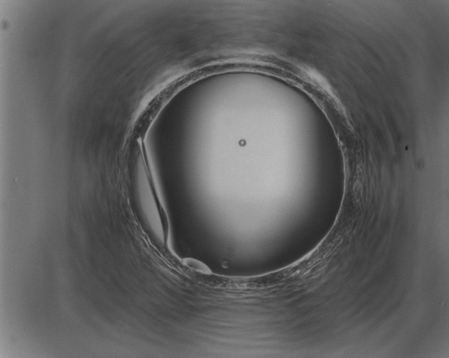 X0000086091360200704091316