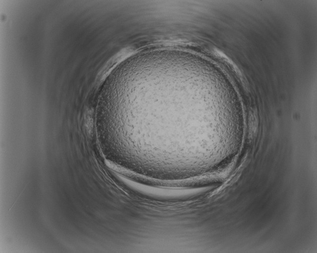 X0000086091361200704091316