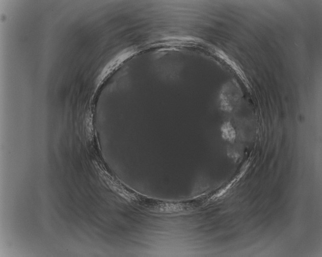 X0000086091362200704091316