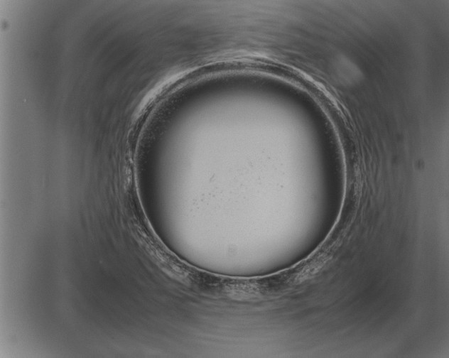 X0000086091363200704091316