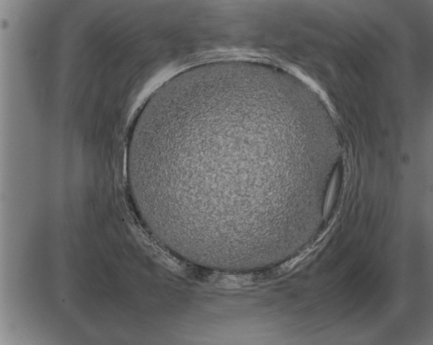 X0000086091365200704091316