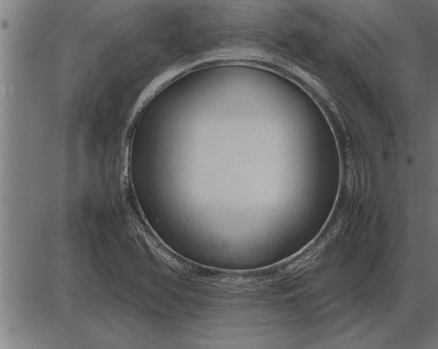 X0000086091366200704091316