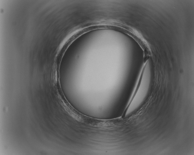 X0000086091368200704091316