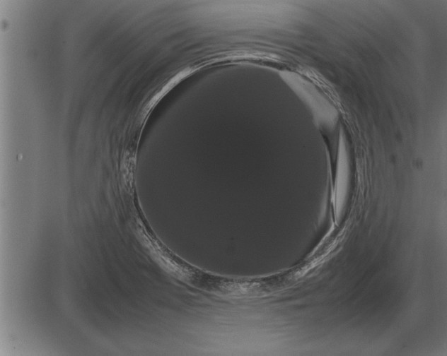 X0000086091369200704091316