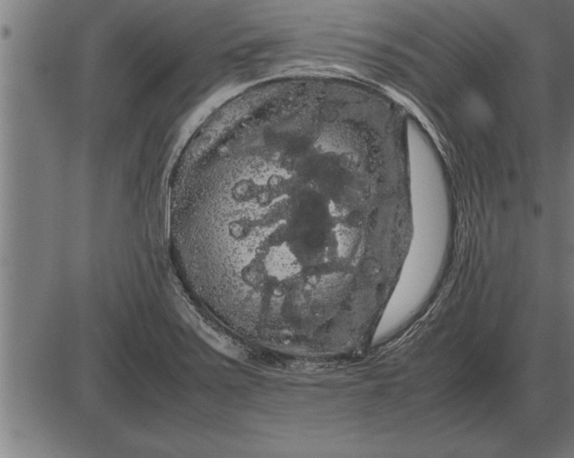 X0000086091371200704091316