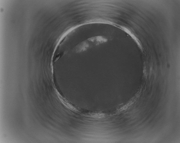 X0000086091372200704091316