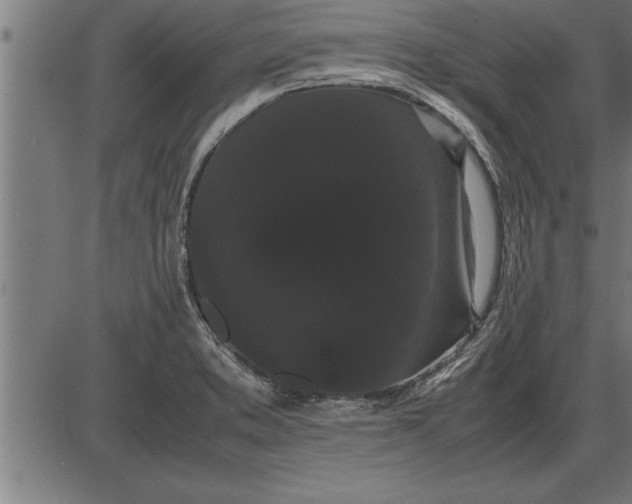 X0000086091373200704091316