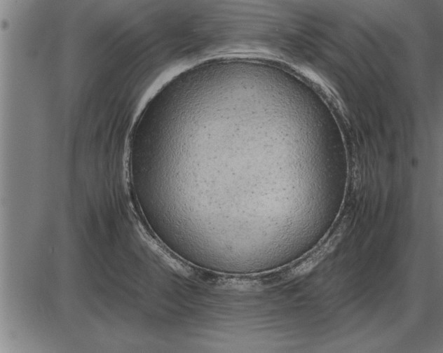 X0000086091374200704091316