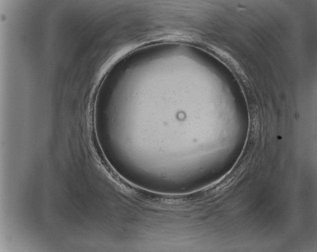 X0000086091375200704091316