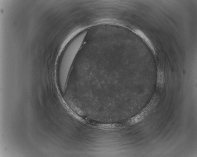 X0000086091376200704091316