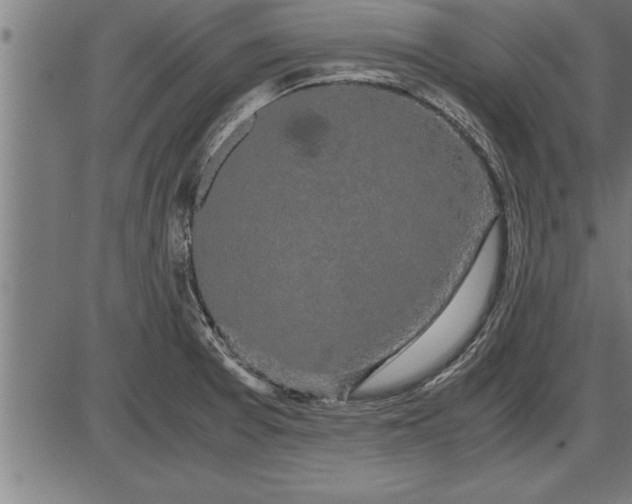 X0000086091377200704091316