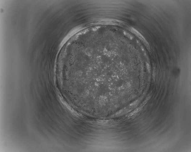 X0000086091378200704091315