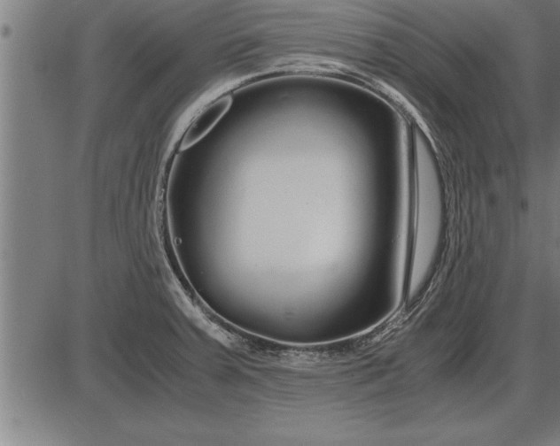 X0000086091379200704091315