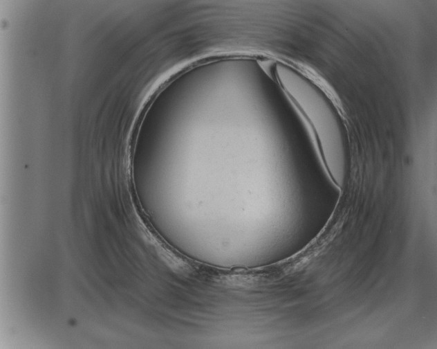 X0000086091380200704091315