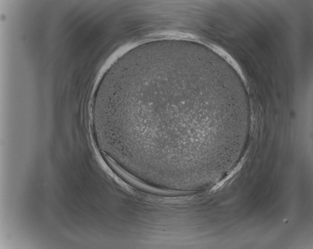 X0000086091381200704091315