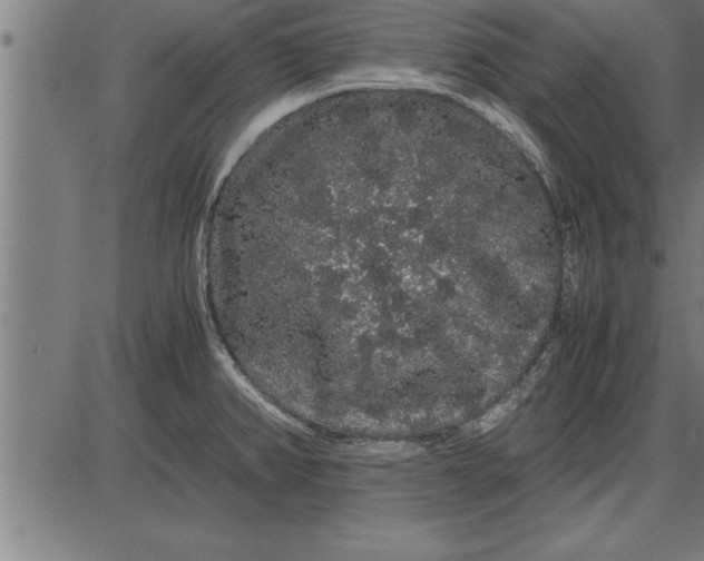 X0000086091382200704091315